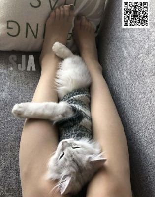 日韩av迅雷下载网站迅雷下载_DVD高清电影在线