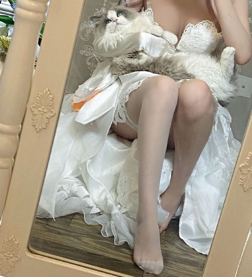 萝卜视频app入口_视频网址大全